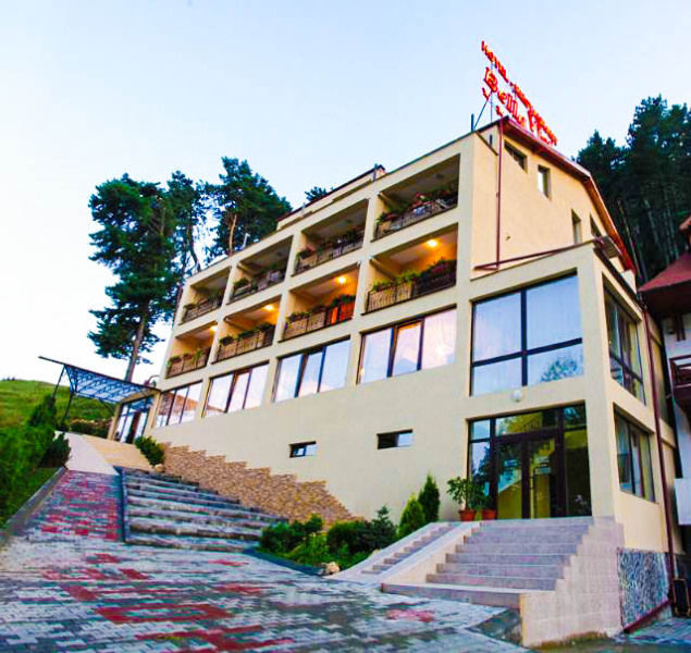 Bellavista Brasov Hotel Sacele Bagian luar foto