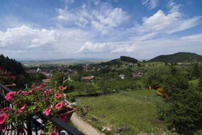 Bellavista Brasov Hotel Sacele Bagian luar foto